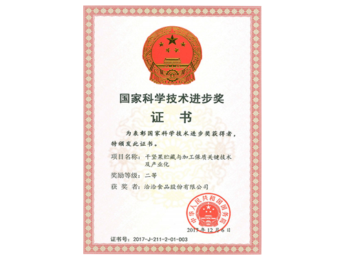 國家科學(xué)技術(shù)進(jìn)步獎(jiǎng)