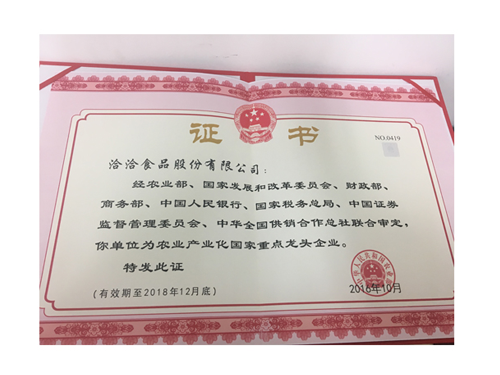 國家重點(diǎn)龍頭企業(yè)