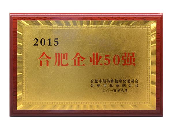 合肥企業(yè)50強(qiáng)