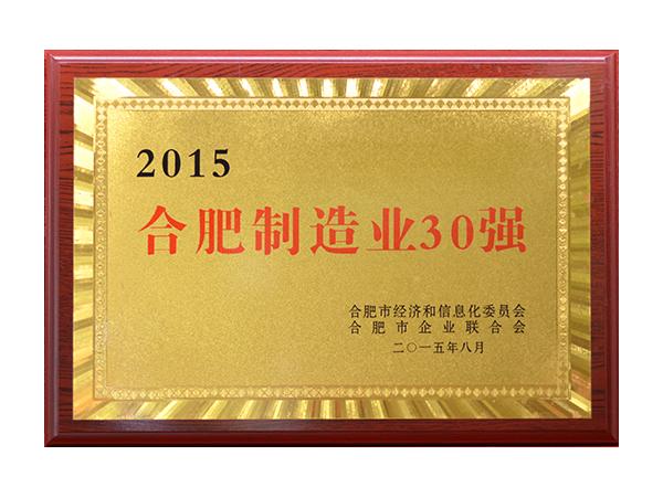 合肥制造業(yè)30強(qiáng)