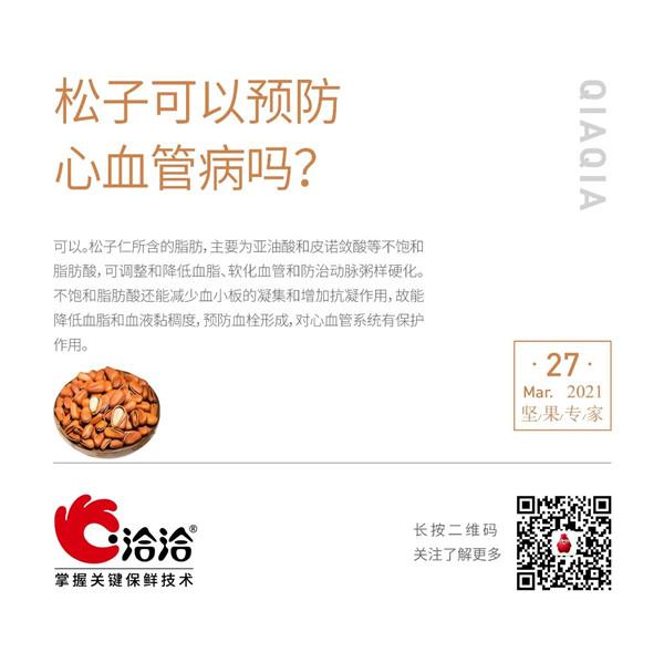 堅(jiān)果功效小科普 | 松子可以預(yù)防心血管病嗎？